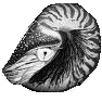 nautilus_sw_inv_95.gif